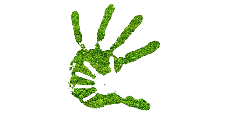 neuropsichiatria - mano - Centro il grillo Parlante - Pisa